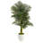 60'' Faux Palm Tree in Clay Planter