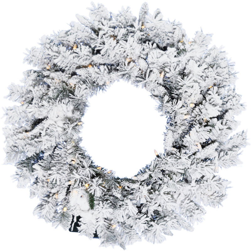 Couronne de pin blanc enneigé 24 po CT, Transparent/blanc