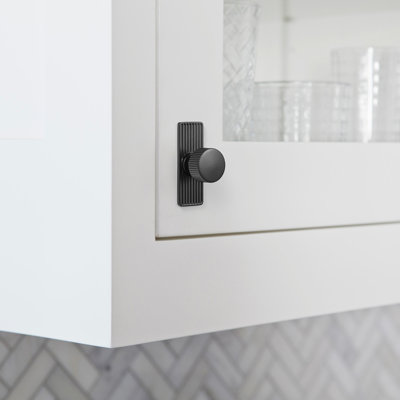 1.1'' Diameter Circle Knob With Backplate