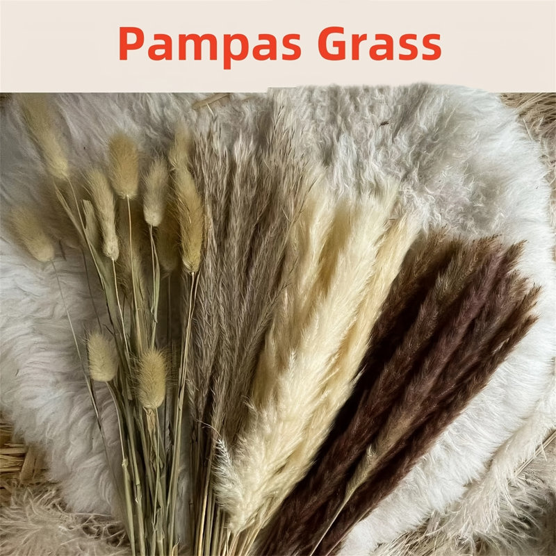 Décoration d'herbe de pampa séchée, 80 tiges d'herbe de pampa contient des fleurs séchées de queues de lapin, bouquet d'herbe de roseau pour mariage, décoration de table bohème, fête de ferme rustique