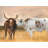 Brown Farm Animals Rustic Polyester Placemat | Nguni Herd Decor