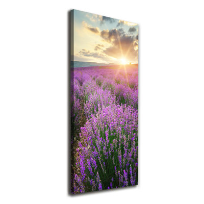 Lavender Field - Wrapped Canvas Print