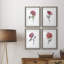 Watercolor Floral Contour I - ensemble de 4 peintures encadrées-2043580267-2043580269