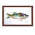 Brown Floater Framed selected