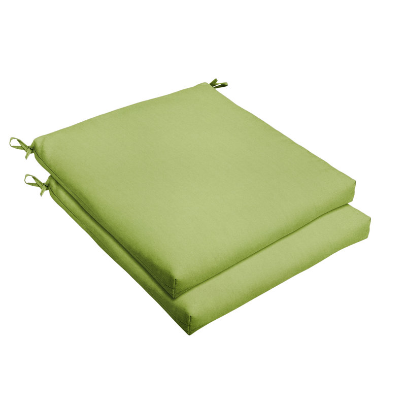 Outdoor 2.5'' Dining Chair Seat Cushion, Fresco Apple Green, 2.5" H x 20" W x 20" D