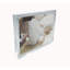 Jazariah Clear Matte Picture Frame