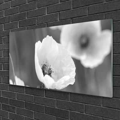 Floral Poppies - Unframed Photograph on Glass