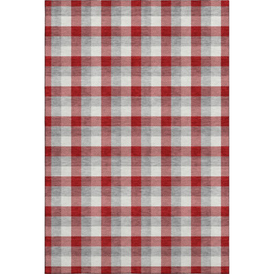 Premium Machine Washable Crumley AMF1053 Plaid Rug