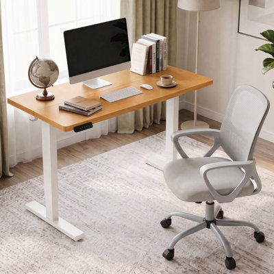Standing & Height-adjustable Desks Office Set with Office Chair