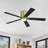 Dc Motor Indoor Flush Mount Ceiling Fan With Light Kit And Remote-529811623-529811616-536125091