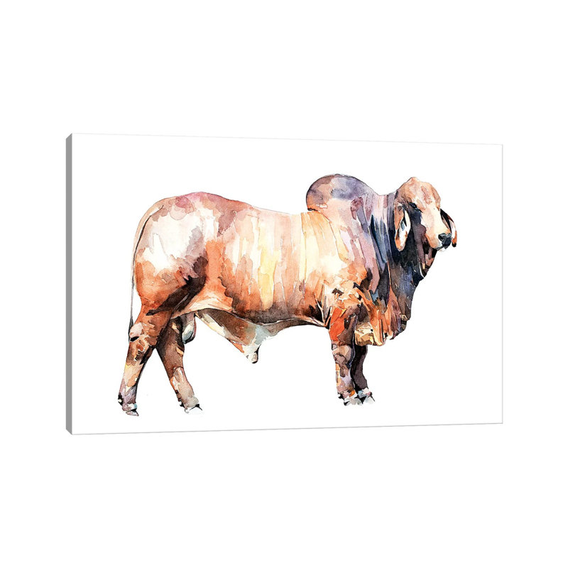 Texan Brahman Bull par EdsWatercolours - impression sur toile tendue, H 8 po x l 12 po x P 0,75 po