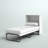Rogelio Metal Murphy Bed