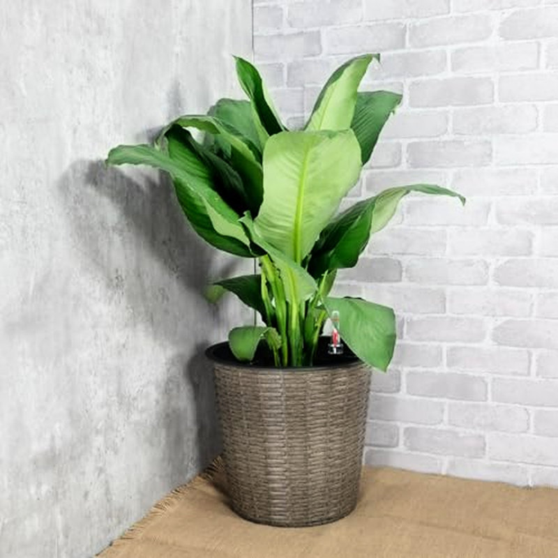 10.2" Self-watering Wicker Decor Planter