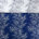 Navy/White