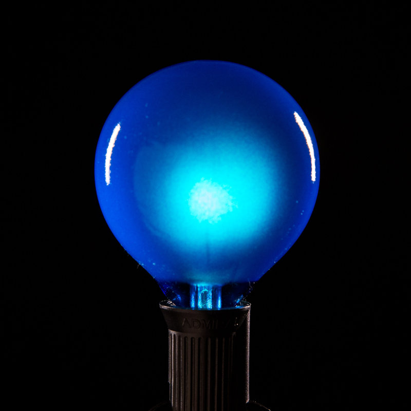 Outdoor 100 - Bulb 100'' Plug-in Globe String Light, Black