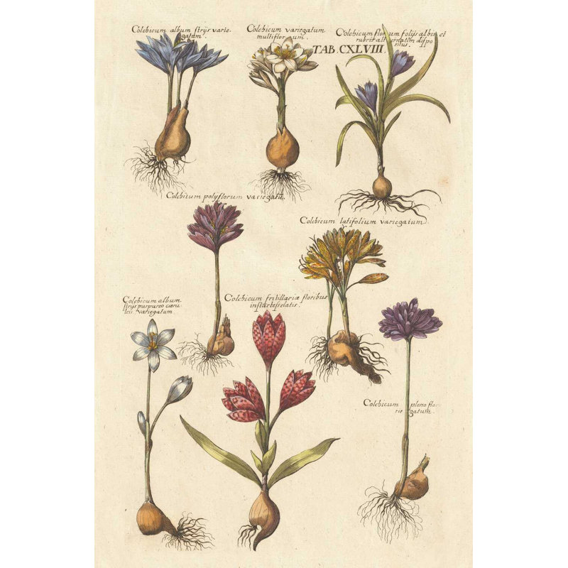 Florilège rétro I, H 18 po x l 12 po