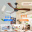 Ceiling Fan Globe Light Kit