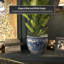 Prunty Handmade Ceramic Cachepot-2062252832
