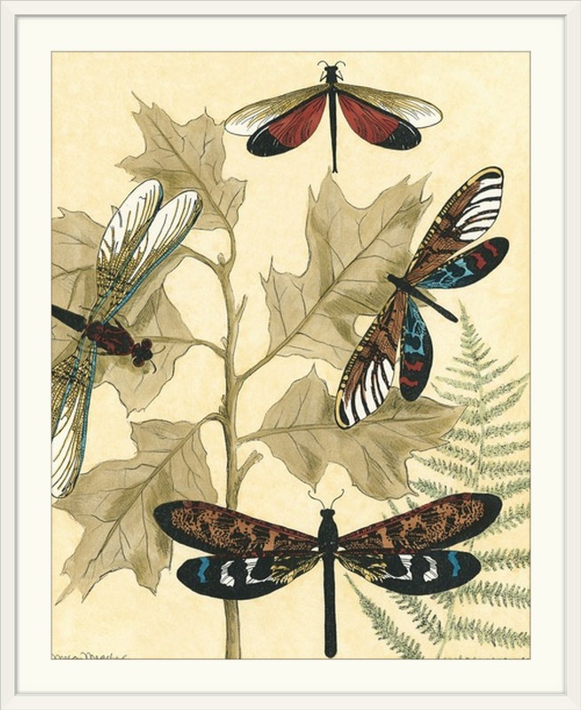 «Graphic Dragonflies I» par Megan Meagher, impression, H 28 po x l 24 po x P 1 po, Cadre blanc