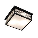 2 - Light Flush Mount
