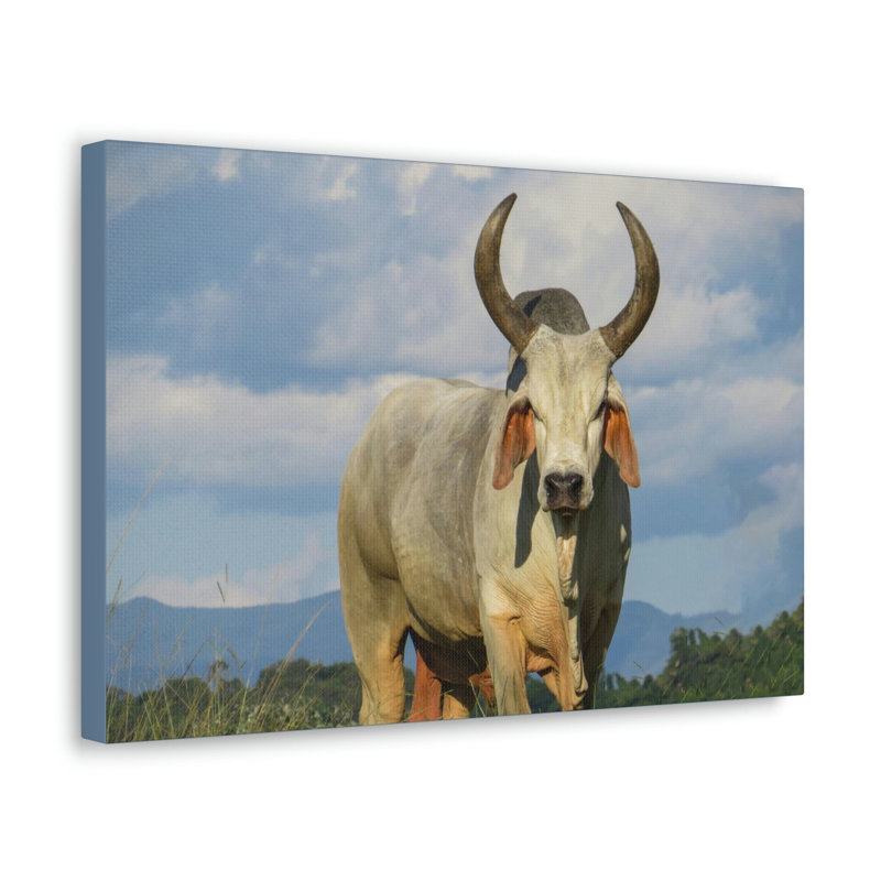 No Frame Print on Canvas, 27.94cm H x 35.56cm W