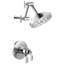 Litze Thermostatic Shower Faucet with TempAssure-1346728701-1346728672