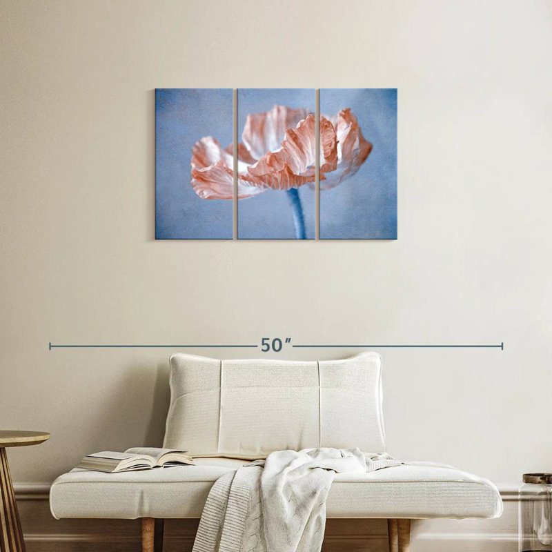 Coquelicot Harnek Peach II, H 20 po x l 33 po