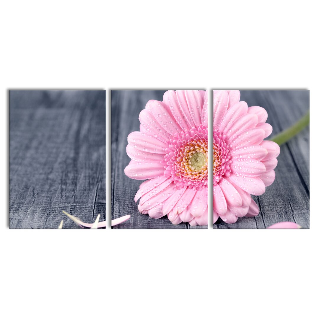 3-tlg. Leinwandbilder-Set Pinke Gerbera auf rustikalem Boden