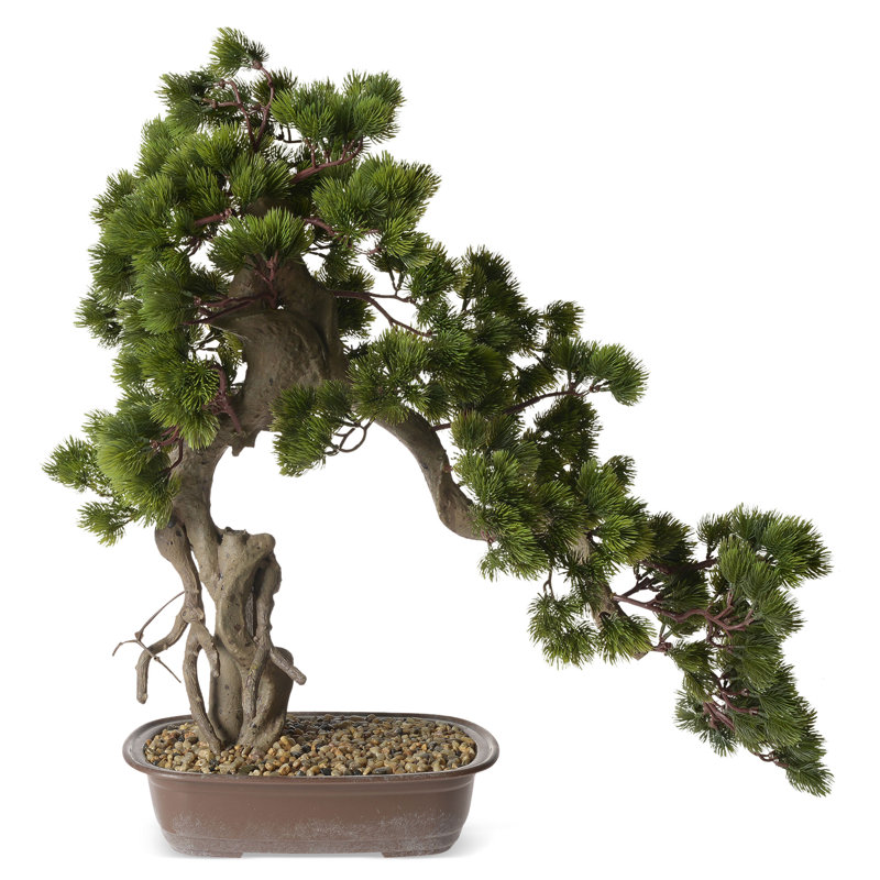 66cm Faux Bonsai Plant