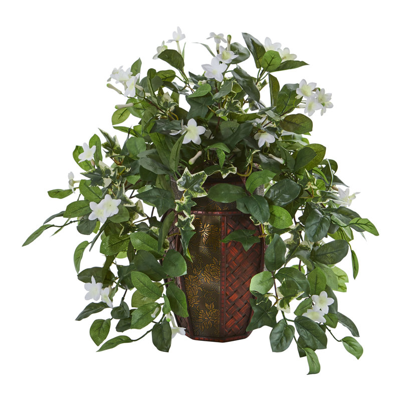 Plante de feuillage de bureau Stephanotis and Ivy dans un vase décoratif