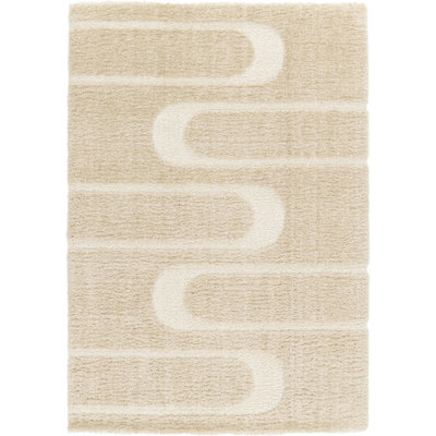 Abstract Shag Area Rug