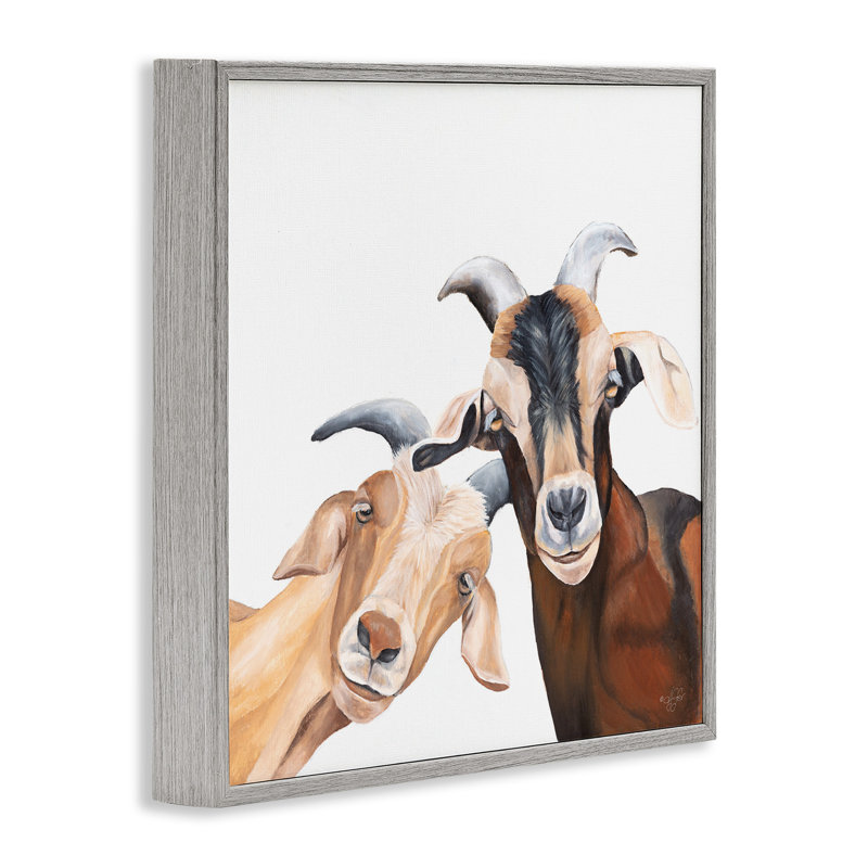 «Happy Goat», souriant, giclée par Diane Fifer, H 24 po x l 24 po, Estampe numérique Farmhouse