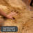 Charleigh Performance Sheepskin Indoor Rug-70657335