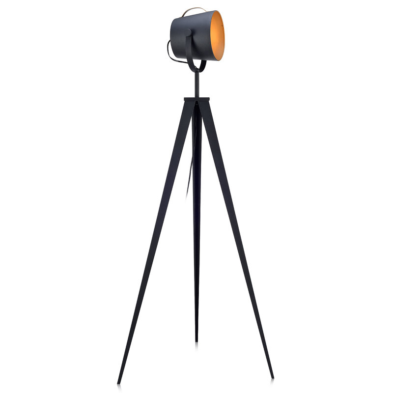 Carr 158cm Black Tripod Floor Lamp, Black/Gold