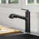 Allyn Pull-Out Single Handle Kitchen Faucet