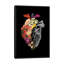 « fleur cardiaque spring », reproduction d’impression sur toile tendue-29153647-72775325-72775326
