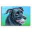 «Black Lab Mix» par Rebecca Wang Art-2067880643