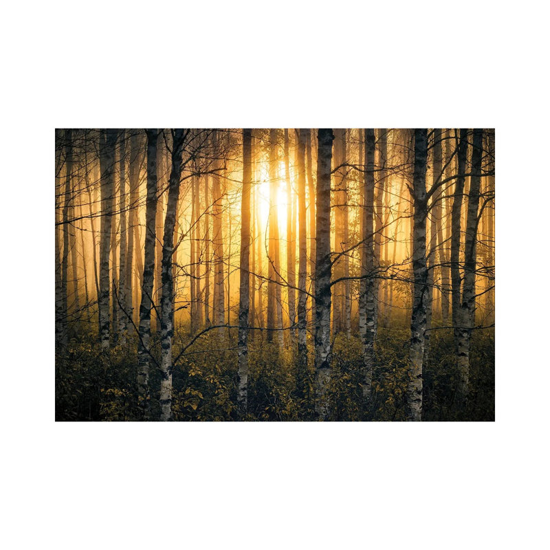 Birches II 1 Piece Wrapped Canvas Wall Art, 66.04 cm H x 45.72 cm W x 3.175 cm D