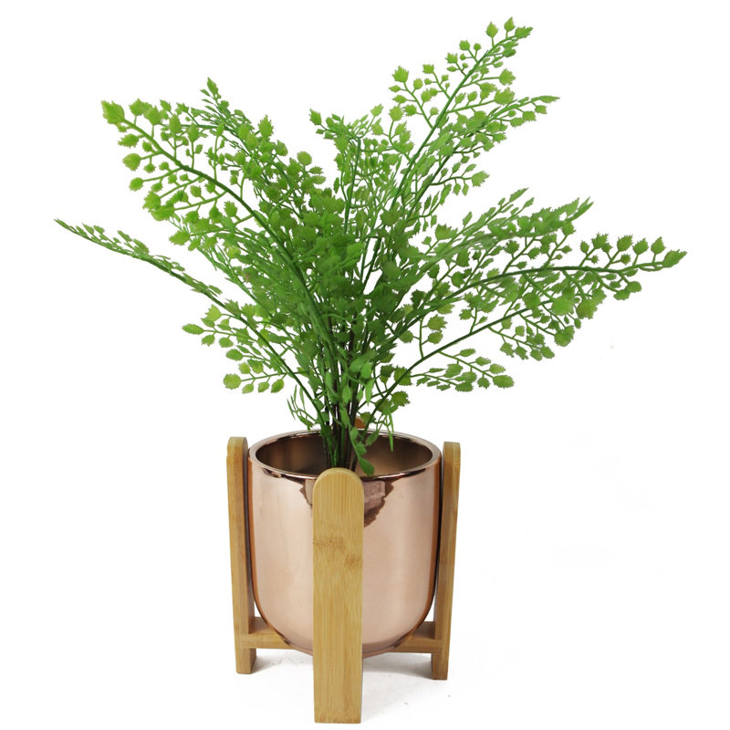 Ceramic Cachepot