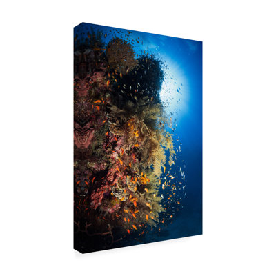 Art sur toile Barathieu Gabriel