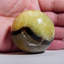 Genuine Polished Septarian Palm Stone