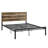 Panel Bed-67149391