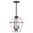Amiree Outdoor Hanging Lantern-134775975-134775971