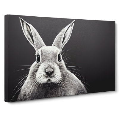 Face Of A Rabbit - Wrapped Canvas