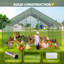 Denne Walk In Chicken Run-1107723291