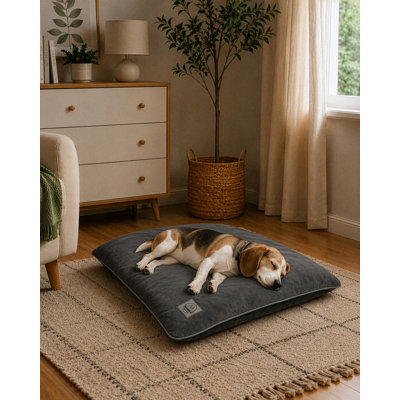 Lit pour animal de compagnie