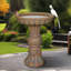 Baignoire à oiseaux de jardin 22 po