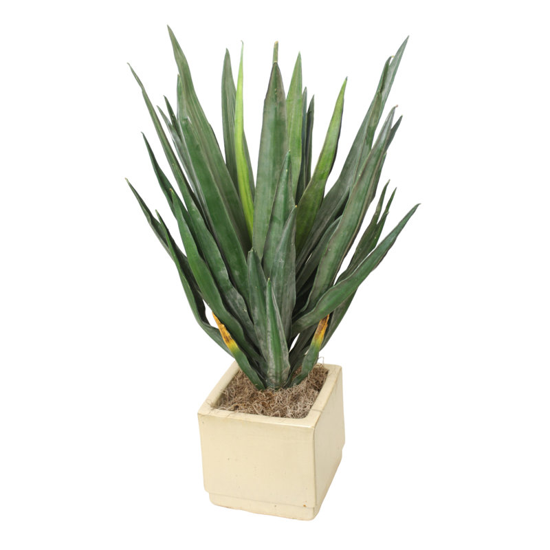 Pot à fleurs carré Yucca