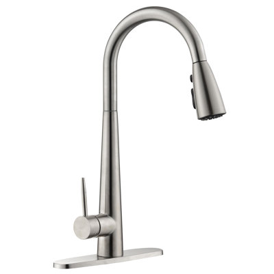 KISRAIS Pull Down Kitchen Faucet