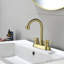 2-handle Bathroom Faucet with Drain Assembly-70980520